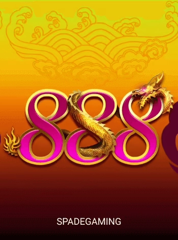 dg988